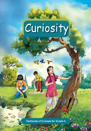 Curiosity - Science | Class 6 (English)